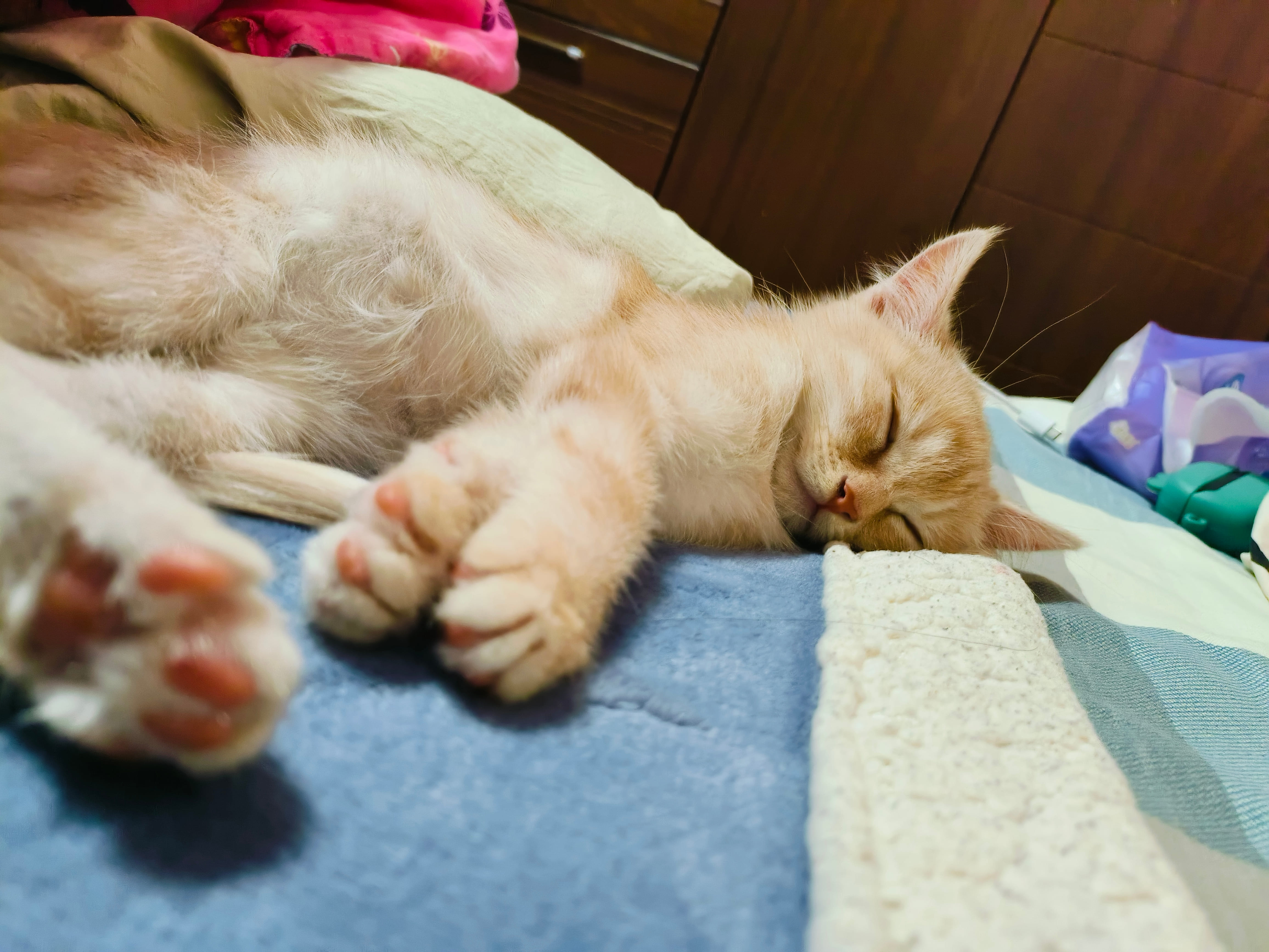 巴适得板