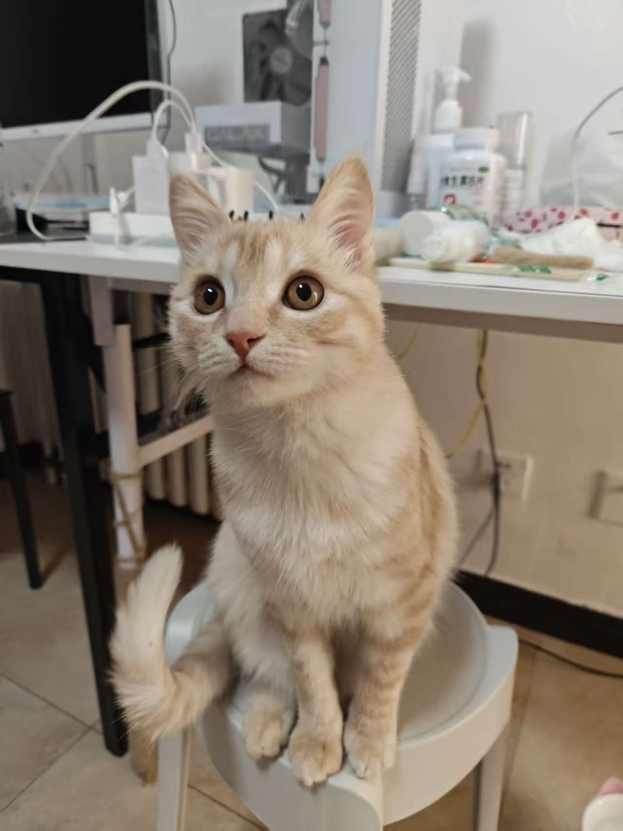 后生怎得如此俊俏